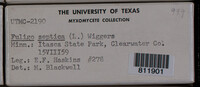 Image Associated With the Occurence